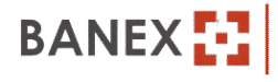 Banex Logo